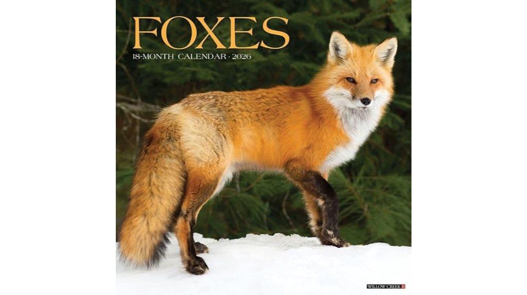 foxes wall calendar 2026