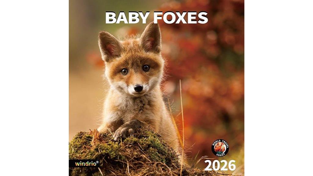 wall calendar for 2026